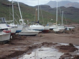DSC00397