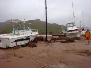 DSC01684