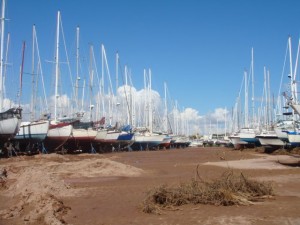 DSC01783